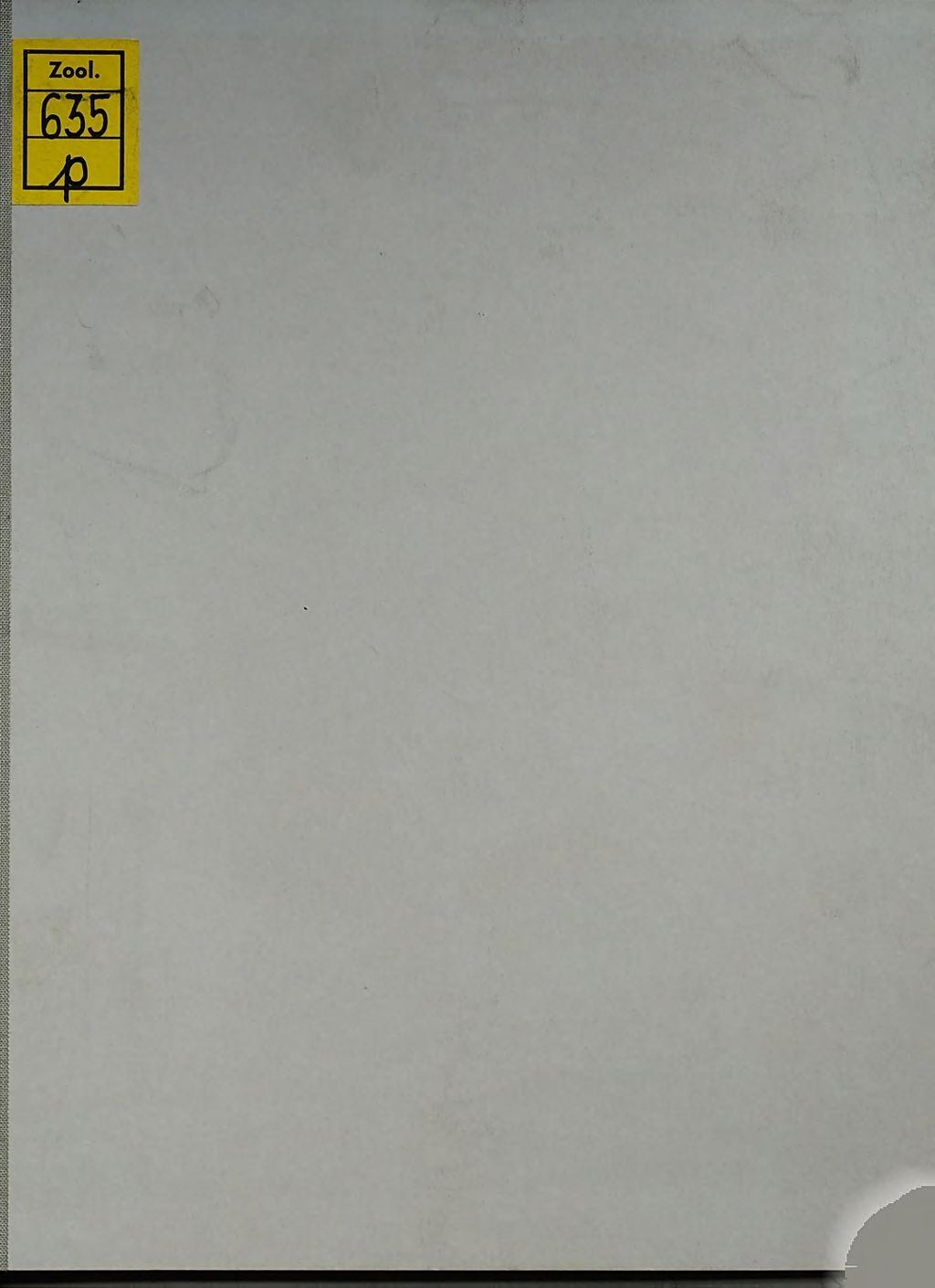 Cover of Die Schildkröte im Alterthum