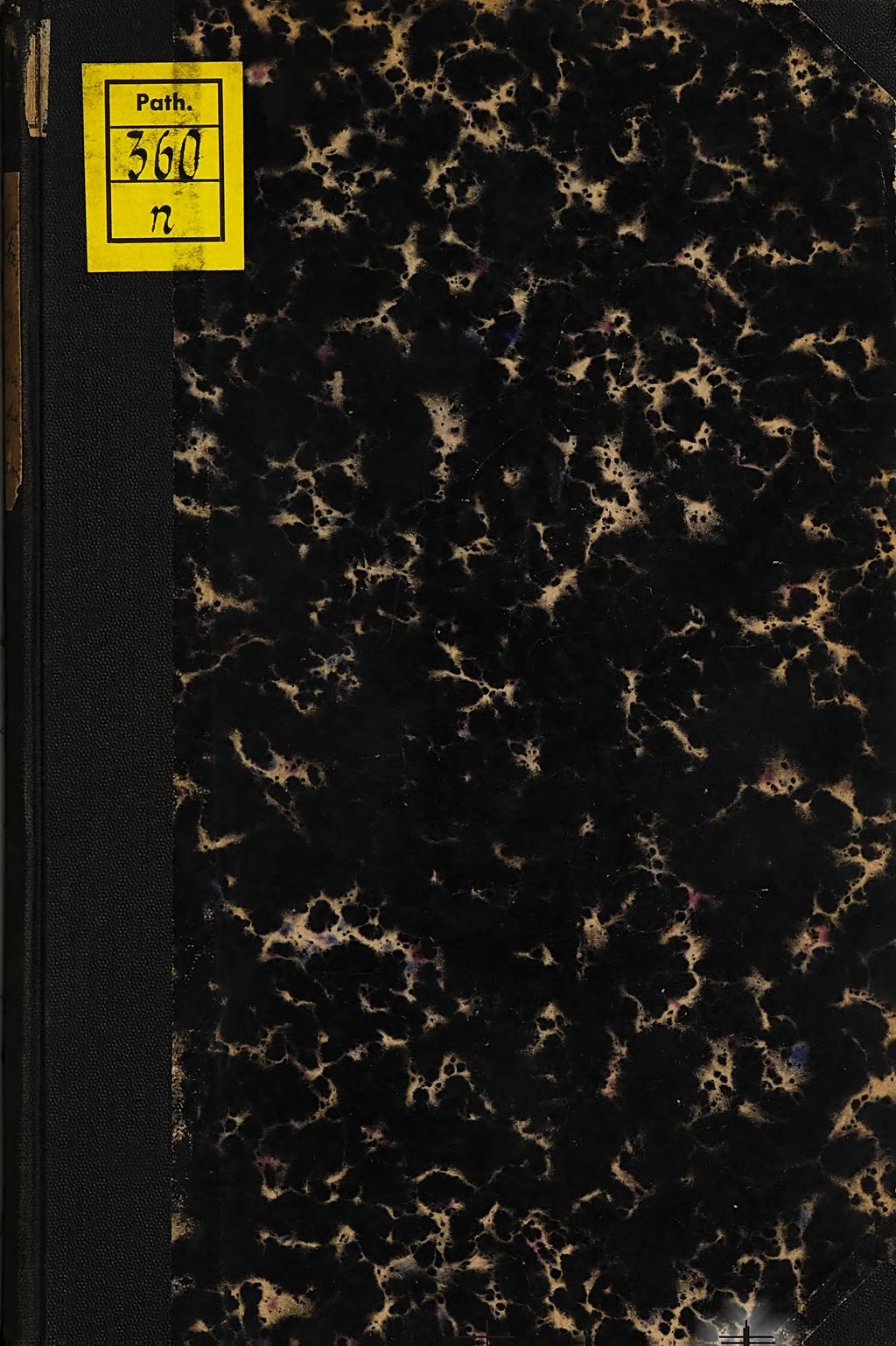 Cover of Studien über Hysterie, Hypnotismus , Suggestion v. Otto Effertz, Dr. med