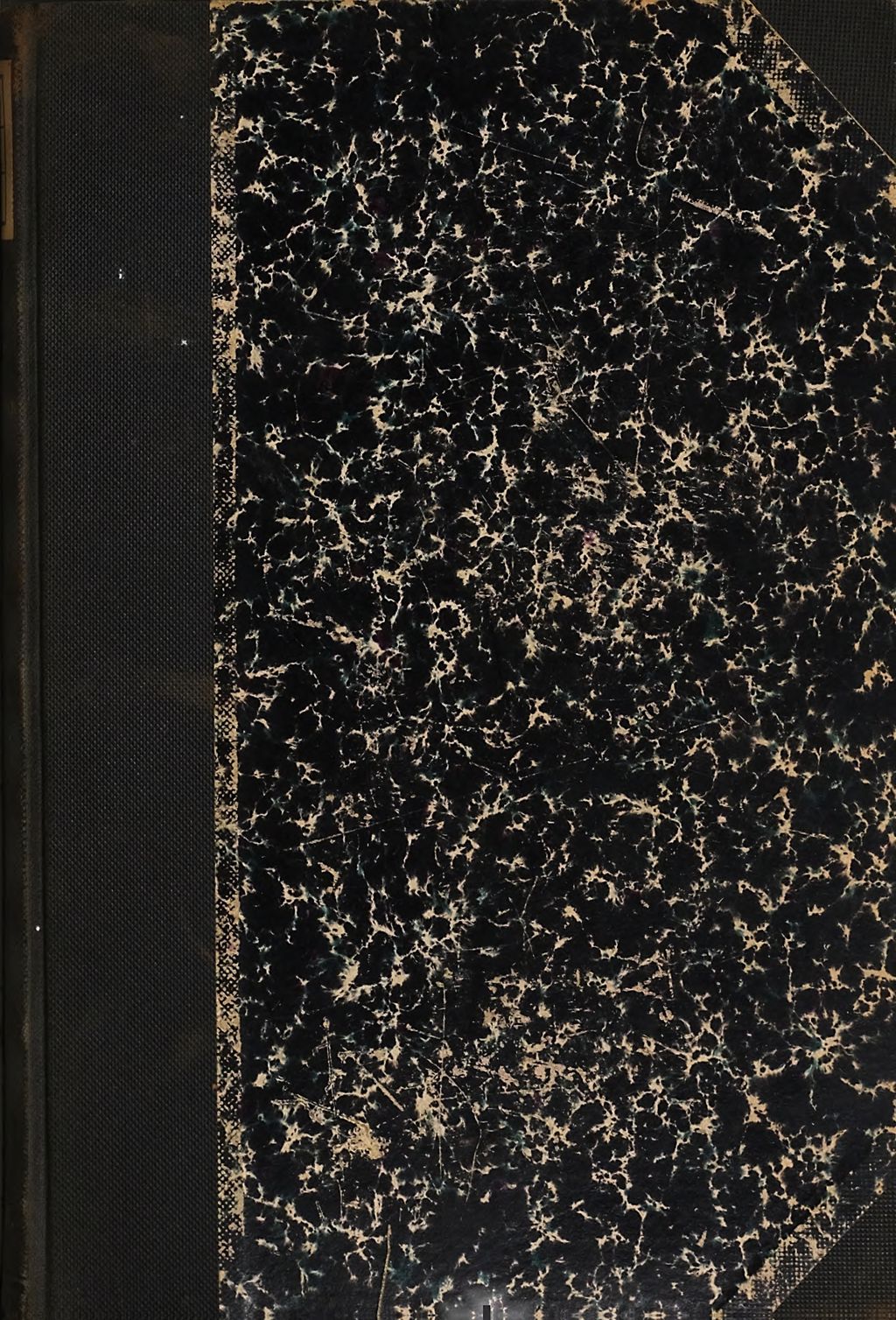 Cover of Die Krankheiten des Magens