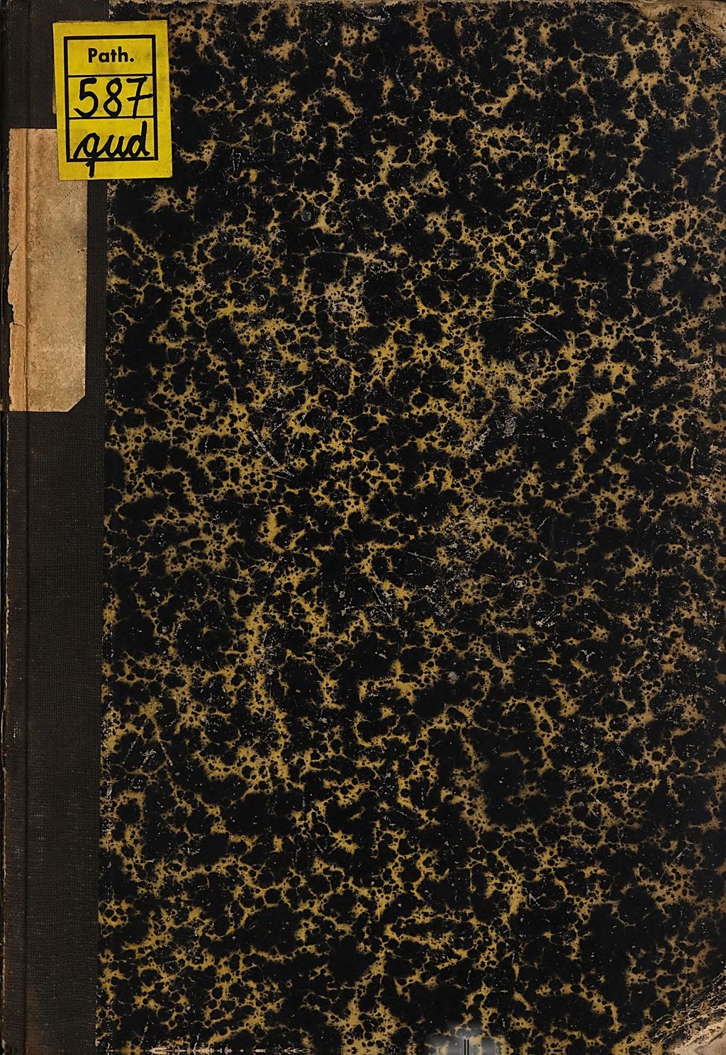 Cover of Der Hypnotismus und seine Heilwirkung