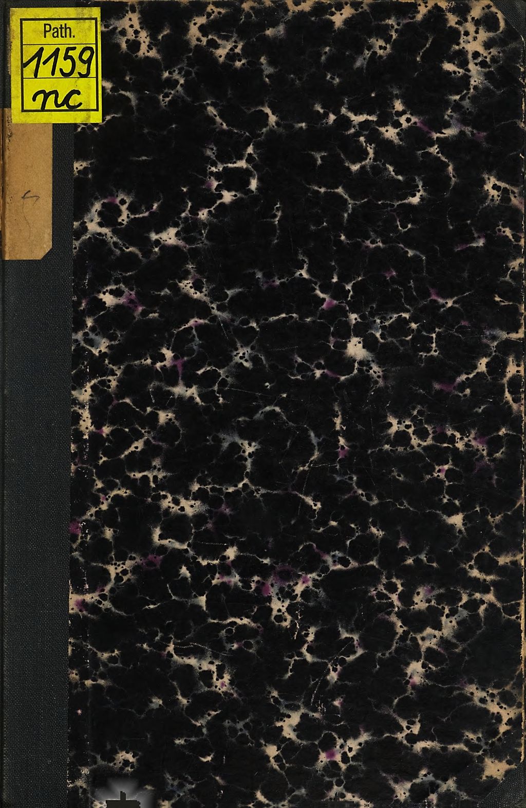 Cover of Der Hypnotismus im Münchener Krankenhause (links der Isar)