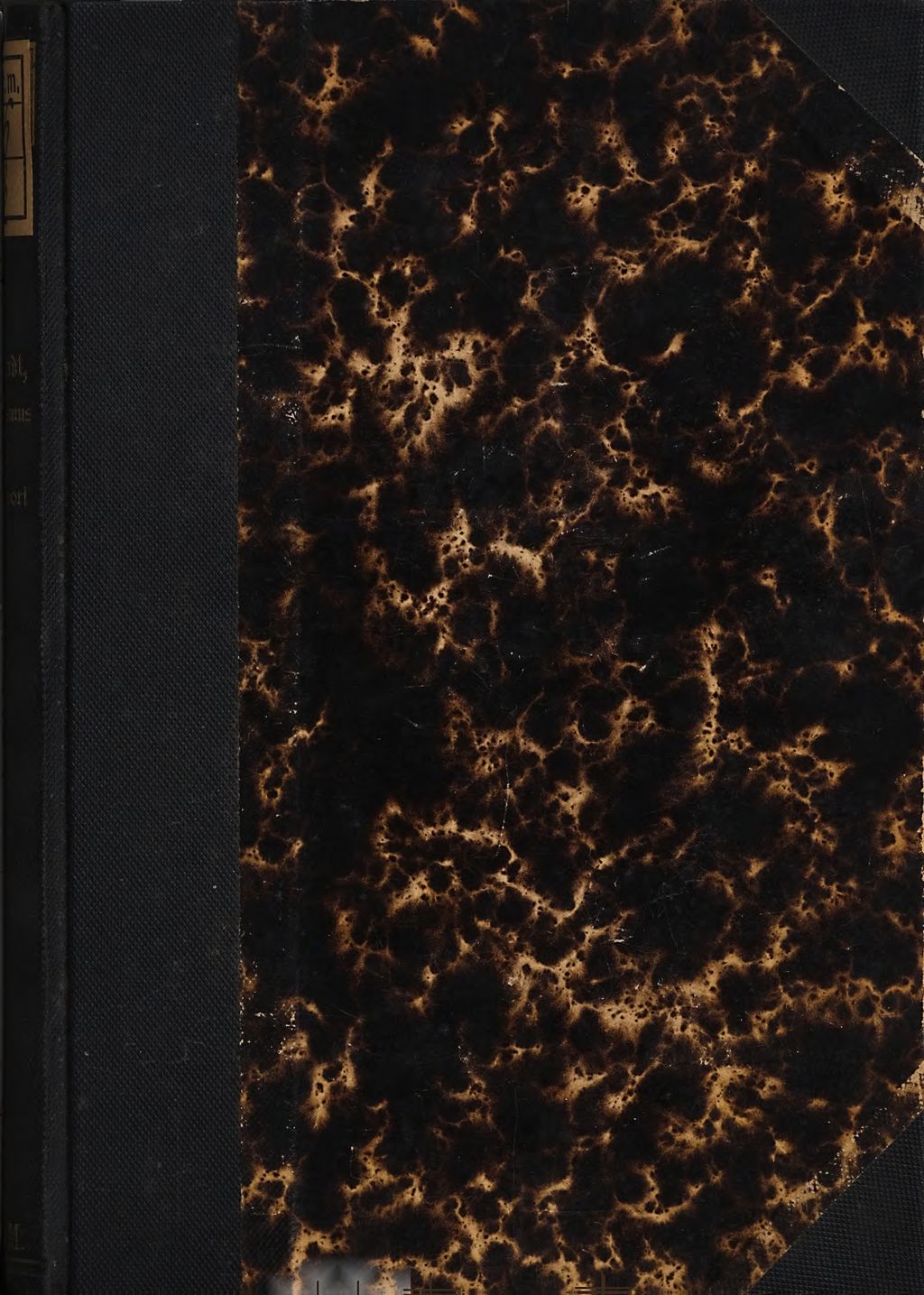Cover of Spiritismus und Ehrenwort als Zeugen der Unsterblichkeit