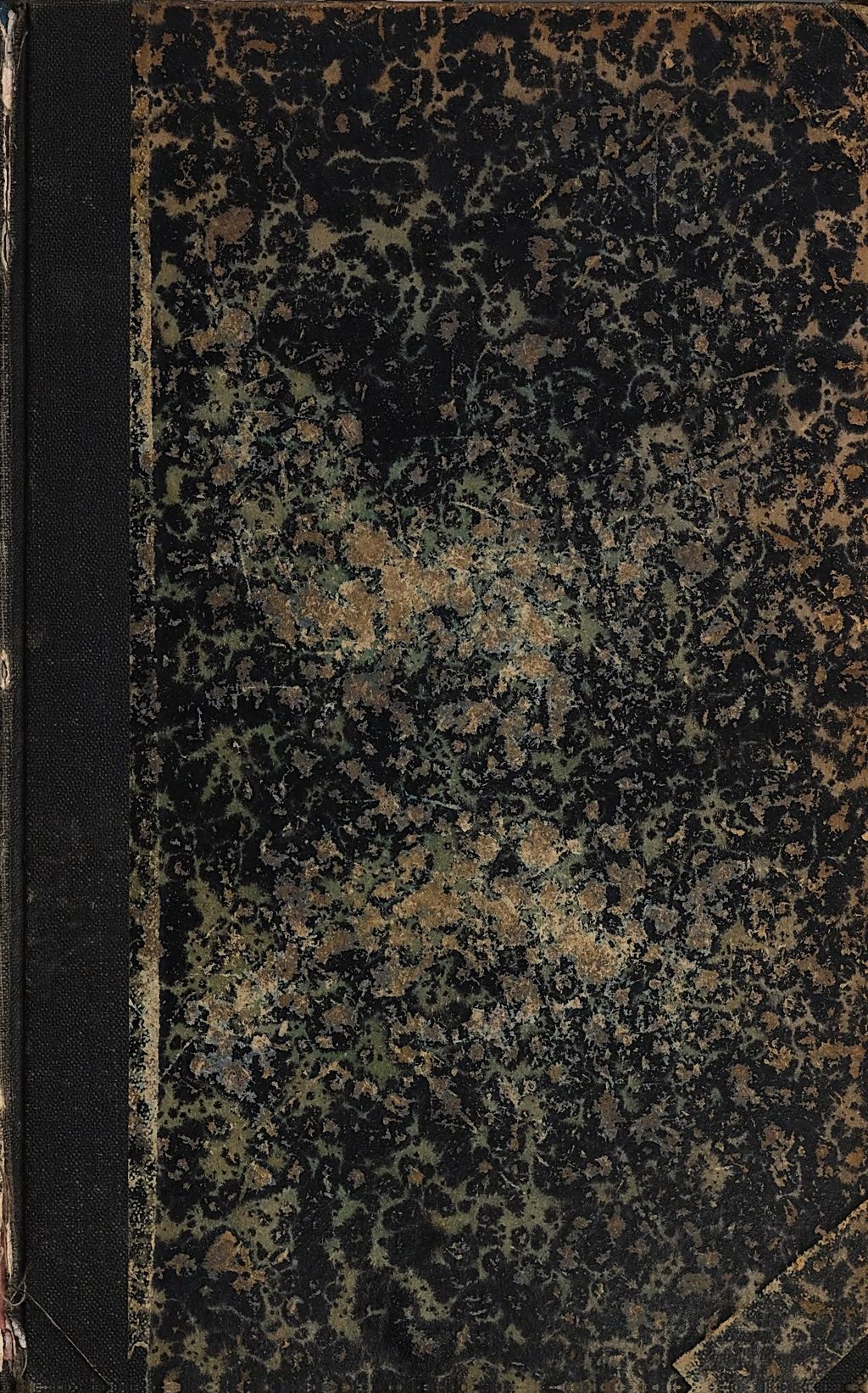 Cover of Das Leben jenseit des Grabes