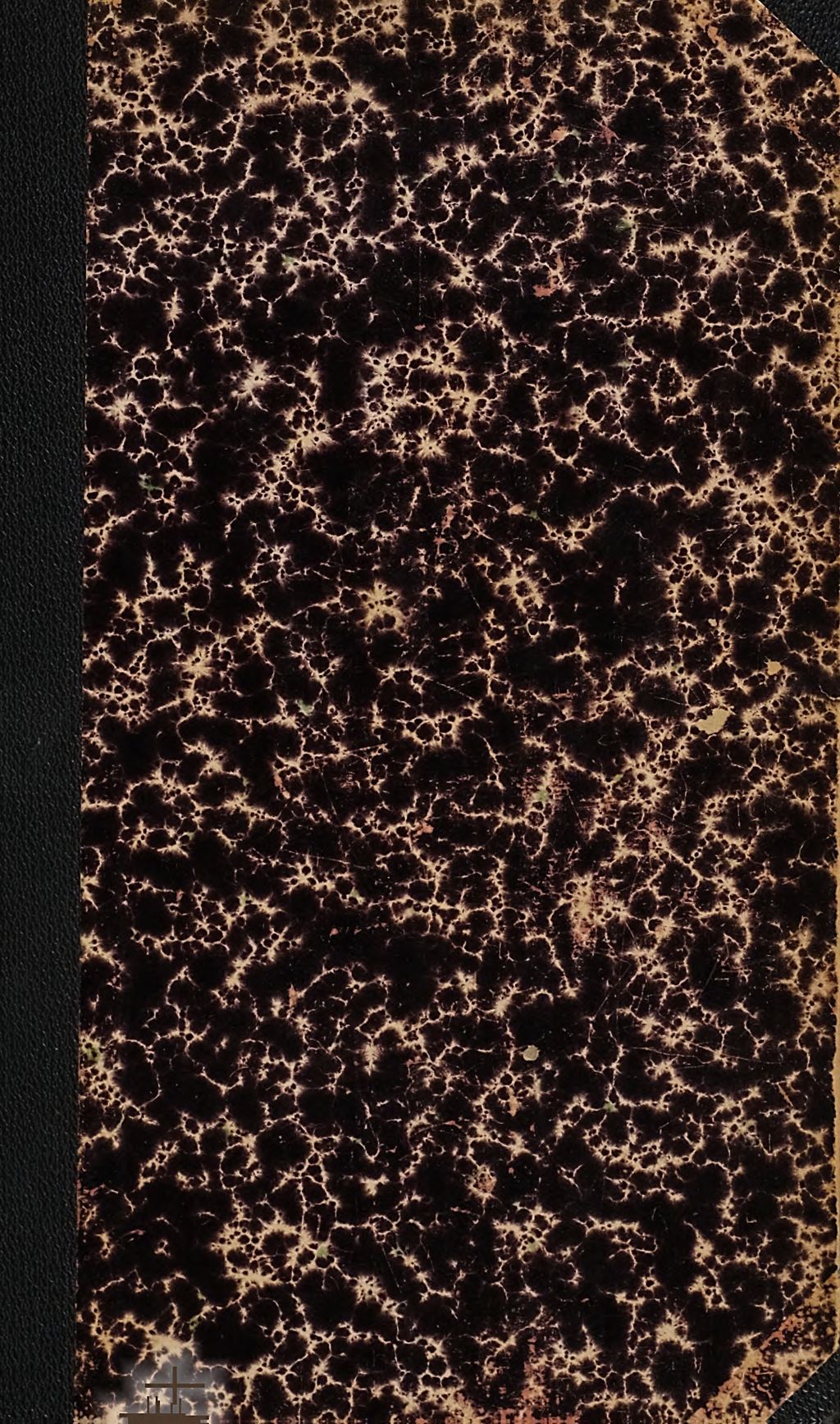 Cover of Geburt und Tod als Wechsel der Anschauungsform oder die Doppelnatur des Menschen