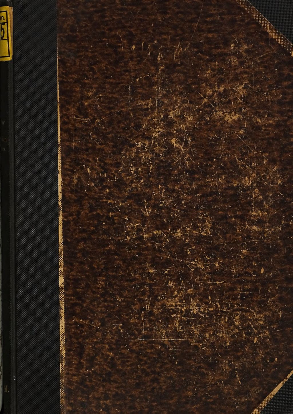 Cover of Suggestion und Reflex