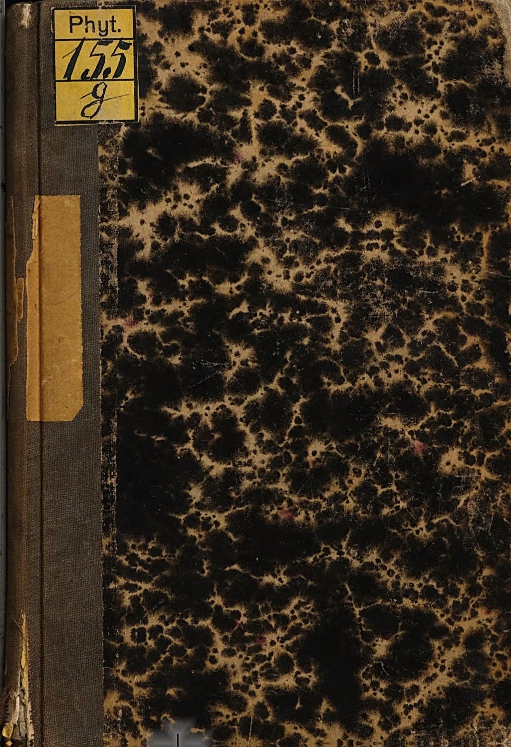 Cover of Die Rose, der Blumen Königin