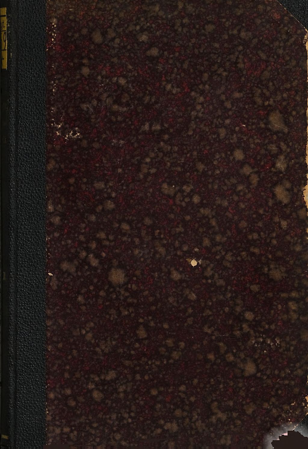 Cover of Die Consolidation der Physiognomik