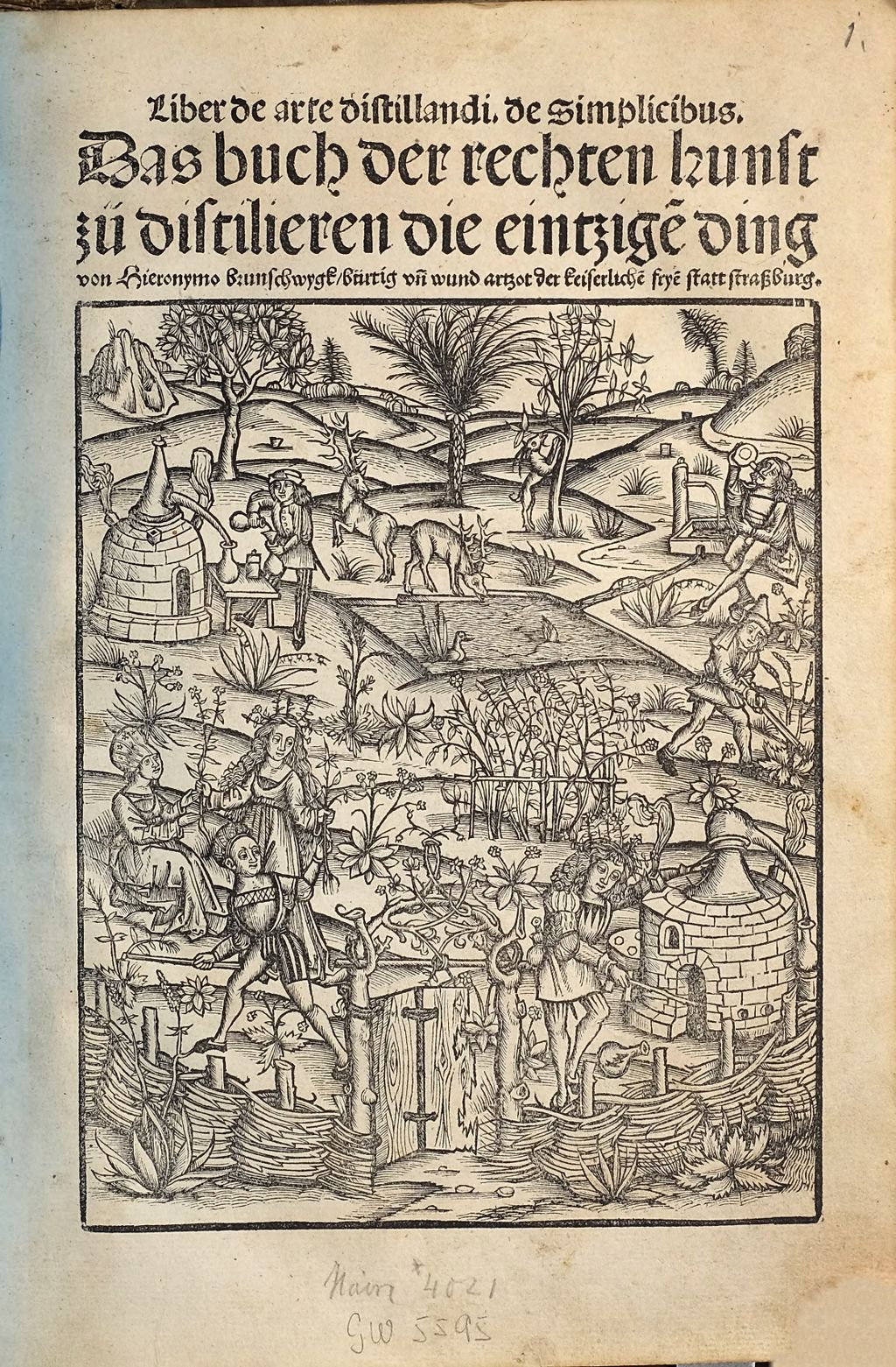 Cover of Hie anfahen ist das Buch genant Liber de arte distillandi