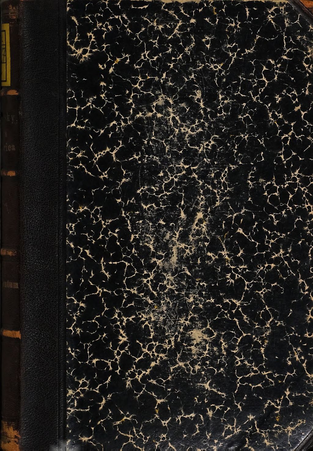 Cover of Flora Bulgarica
