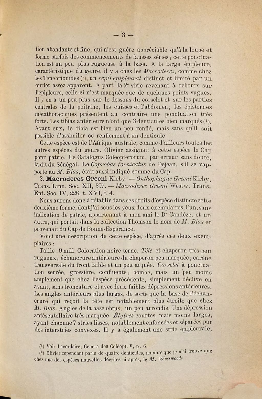 Cover of Note sur le genre Macroderes Westwood