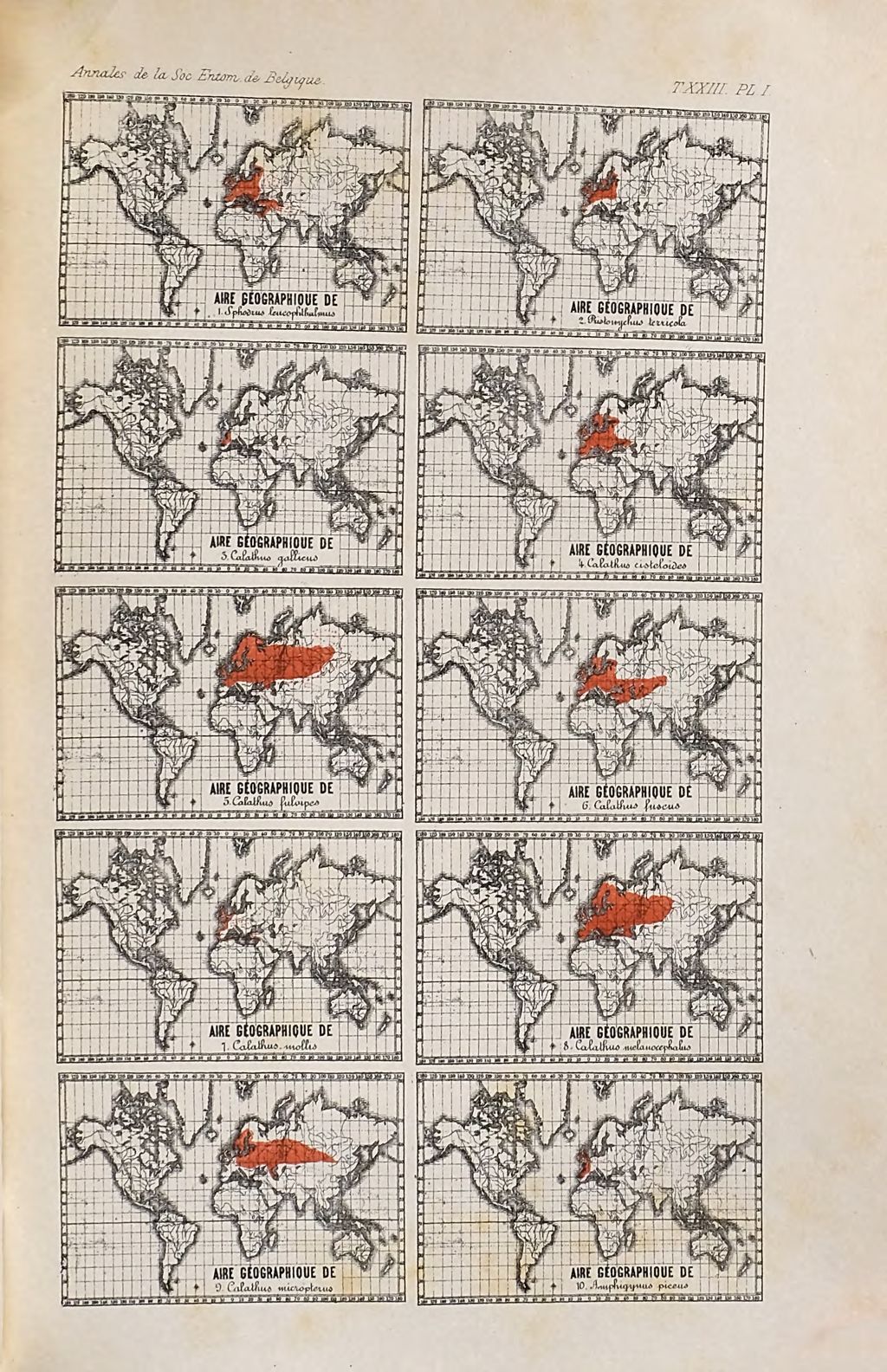 Cover of Étude sur les espèces de la tribu des Féronides qui se rencontrent en Belgique. 2, Séance du 5 avril 1879