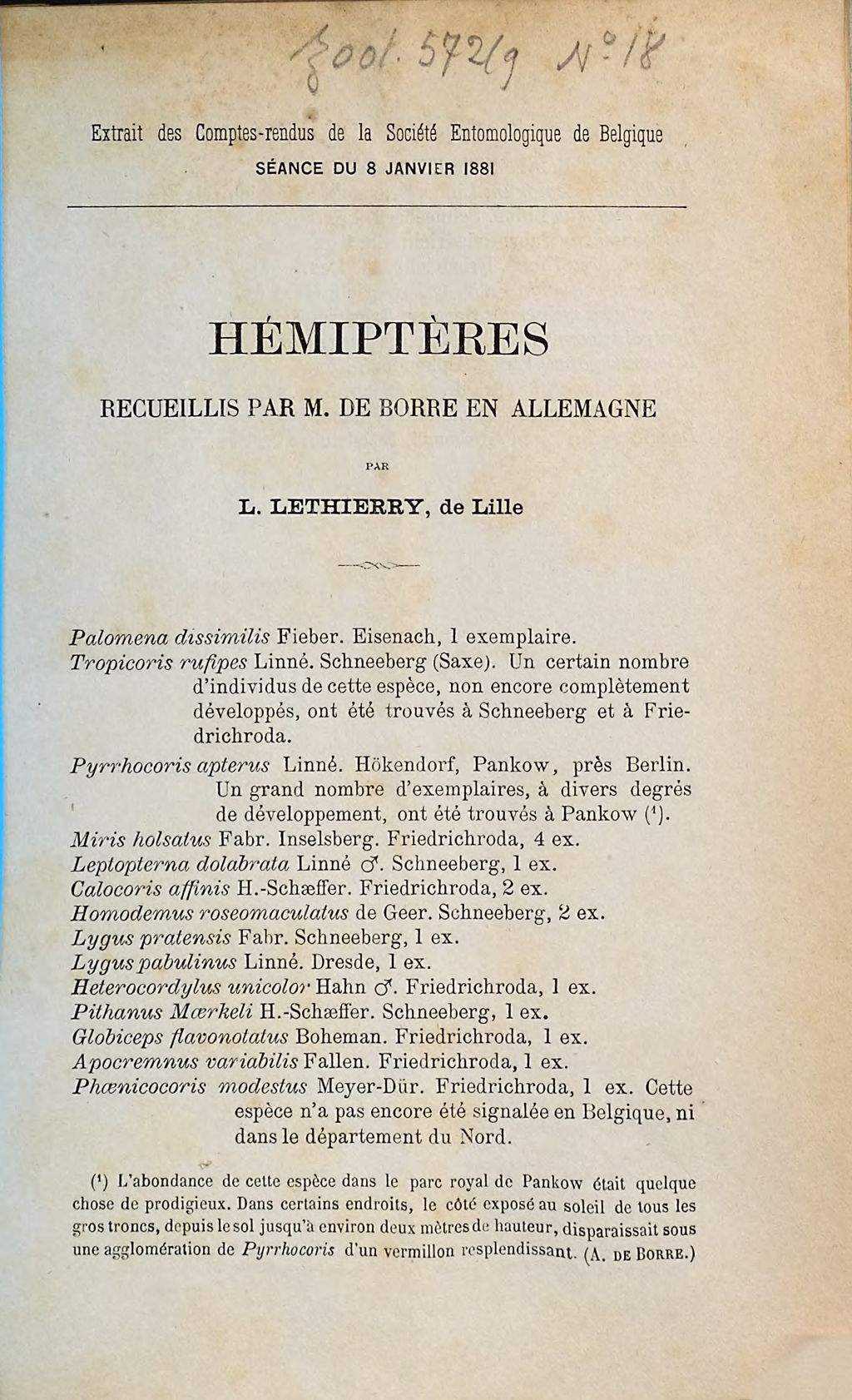 Cover of Hémiptères recueillis par M. de Borre en Allemagne