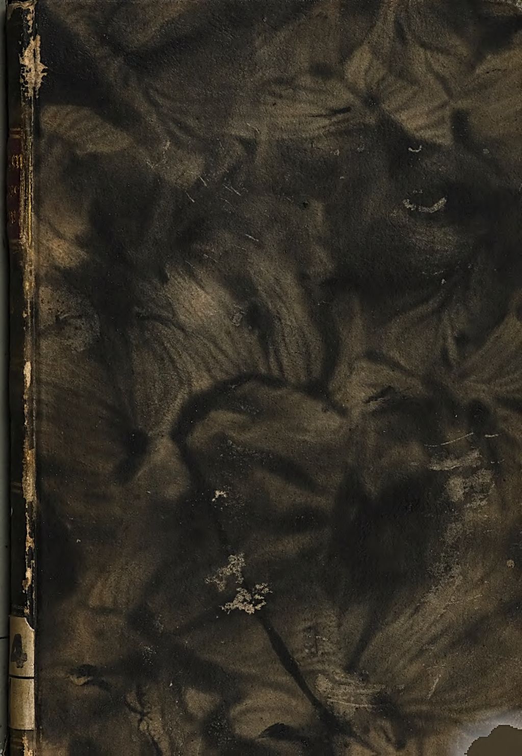 Cover of Maerchen für Junge Damen, oder: Beyträge zur Mädchen-Philosophie