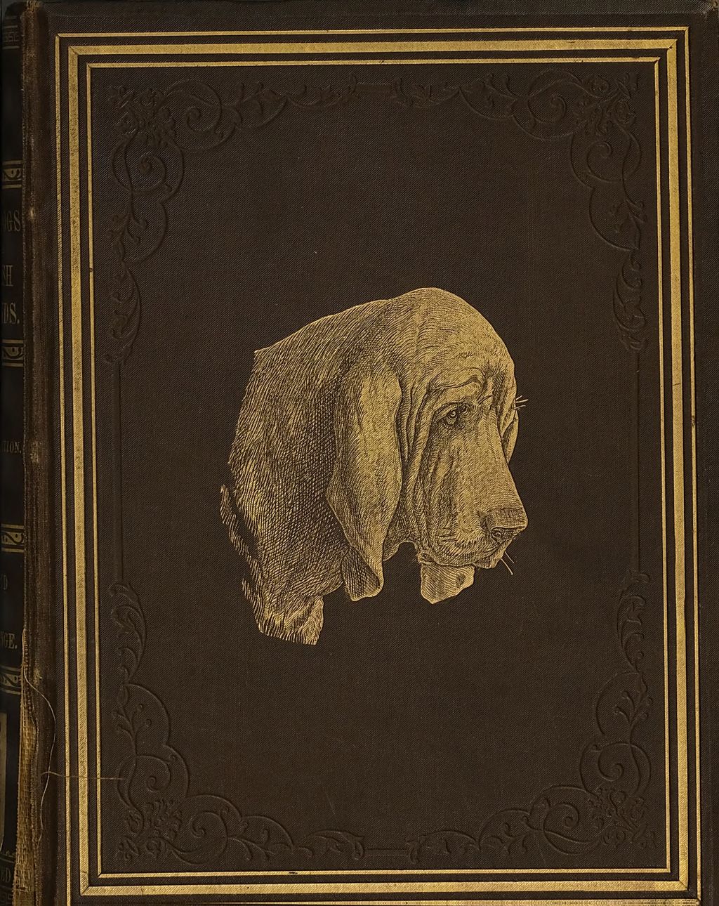 Cover of The dogs of the British Islands