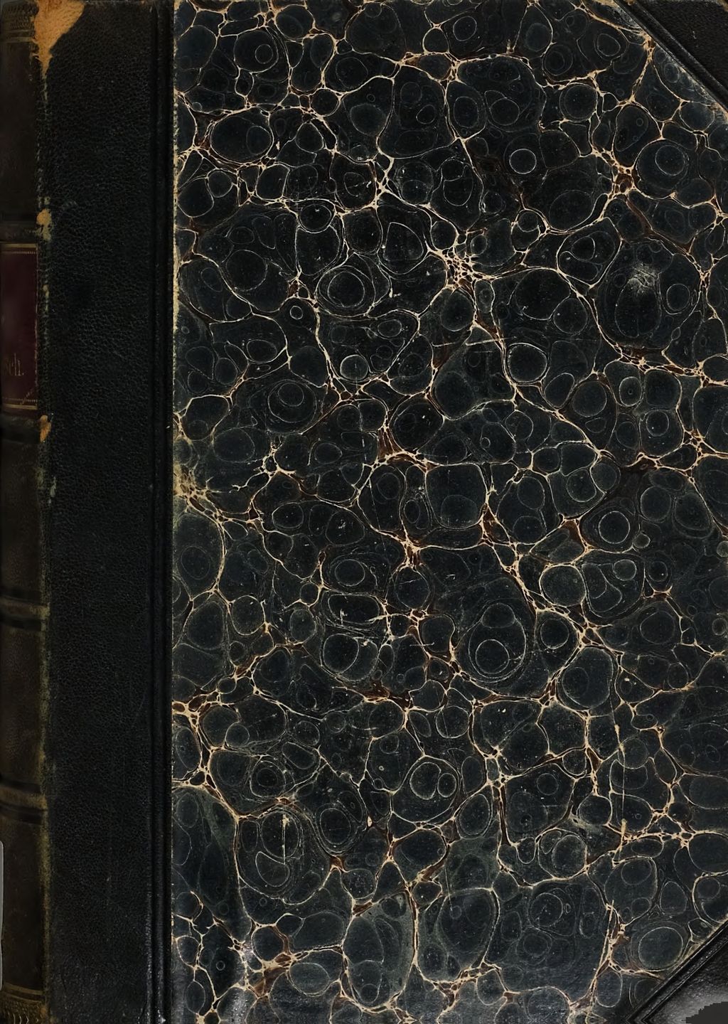 Cover of Allgemeine Religionsgeschichte