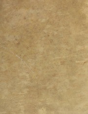 Cover of Wundt Artzney Büchel Leonhart Bagasser auf das jar 1570