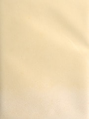 Cover of Ad Illustrissimu[m] [et] Excele[n]tisimu[m] d. d[omi]n[um] Hercule[m] este[n]se[m] ferrarie Mutie ac regij duce[m] iunctissimu[m] Hiero[n]ymi Catti[n]elli p[ro]nosticu[m] a[n]no salutis M cccc