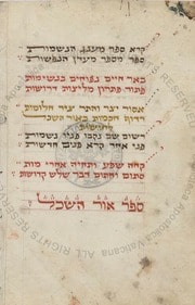 Cover of Light of the Intellect