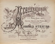 Cover of Accellerationen