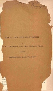 Cover of Tree and pillar worship