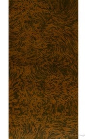 Cover of La magie au dix-neuvième siècle, ses agents, ses vérités, ses mensonges
