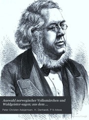 Cover of Auswahl norwegischer Volksmärchen und Waldgeister-Sagen