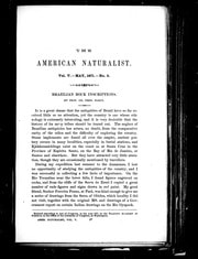 Cover of Brazilian rock inscriptions [microform]