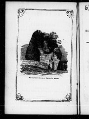 Cover of The Prophecies of SS. Columbkille, Maeltamlacht, Ultan, Seadhna, Coireall, Bearcan, Malachy, &c. [microform]