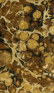 Cover of Die Gespenster