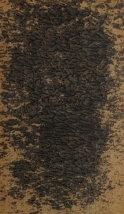 Cover of Entdeckungen im Felde der ältesten Erd- und Menschengeschichte
