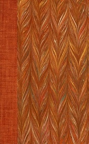 Cover of La vision, contenant l'explication de l'écrit intitulé: Traces du magnétisme, et la théorie des vrais sages