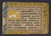 Cover of Text on animal omens, 1700s