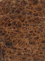 Cover of Prager bilbul