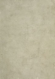 Cover of Prosper de uita co[n]te[m]platiua de uita actuali deq[ue] uitiis a[n]nexis uirtutibus