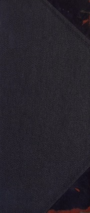 Cover of Unity