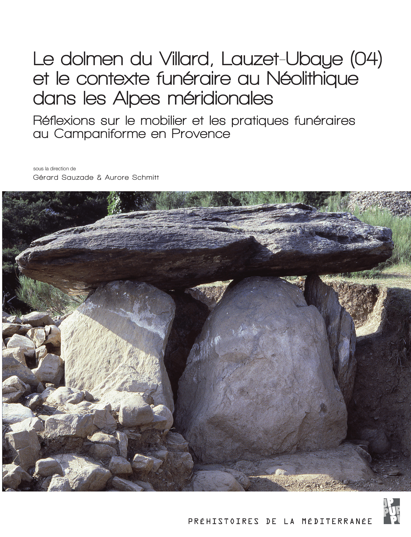 Cover of Le dolmen du Villard, Lauzet-Ubaye (04) et le contexte funéraire au Néolithique dans les Alpes méridionales