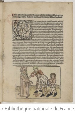 Cover of Fabule et vita Esopi, cum fabulis Aviani, Alphonsii, Pogii... et aliorum, cum optimo commento