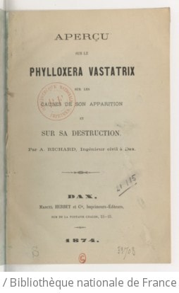 Cover of Aperçu sur le phylloxera vastatrix sur les causes de son apparition et sur sa destruction