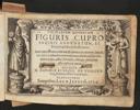 Cover of Viridarium chymicum figuris cupro incisis adornatum, et poeticis picturis illustratum. Ita ut non tantum oculorum et animi recreationem suppeditet, sed et profundiorem rerum naturalium considerationem excitet, adhaec forma sua oblonga amicorum albo inservire queat