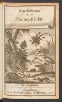 Cover of Amphibien