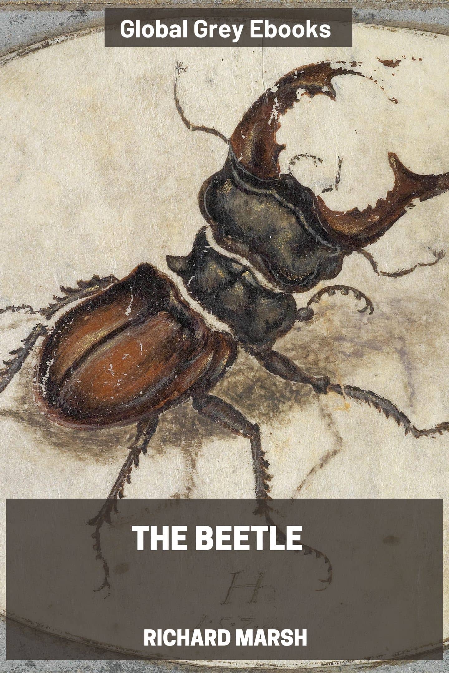 Cover of The Beetle