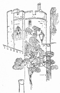 Cover of Winchester