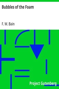 Cover of Bubbles of the Foam