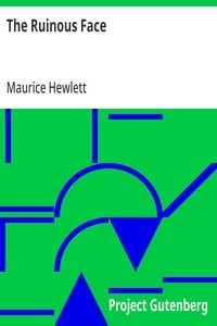 Cover of The Ruinous Face