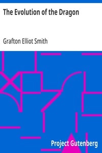 Cover of The Evolution of the Dragon