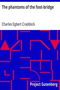 Cover of The phantoms of the foot-bridge