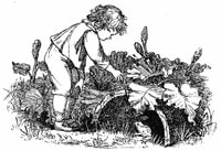 Cover of Wood Magic: A Fable