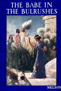 Cover of The Babe in the Bulrushes