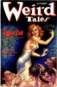 Cover of The Last of Mrs. DeBrugh