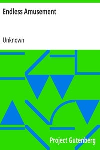 Cover of Endless Amusement